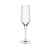 FINE DINE Šampano taurės Martina, 220 ml, 6 vnt 61030700 | E-gastro