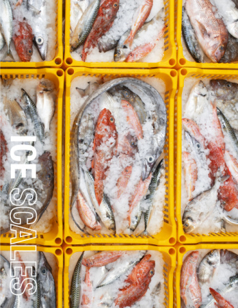 BREMA Modulinis ledo generatorius M600 SPLIT, 620 kg/24val M600 SPLIT | E-gastro