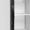 TEFCOLD Gėrimų šaldytuvas CEV425 1 LED