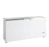 TEFCOLD Ledų šaldiklis su dangčiu FR605S SL 16180 | E-gastro